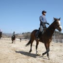 산청승마장 이미지