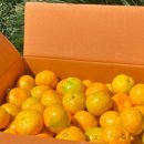 아린농장 이미지