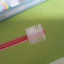 시그마덴탈 이미지