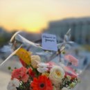 미니스톱연대학생회관점 | 신촌꽃집 연세대 안의 감성 플라워샵 - 꽃누리샘 피어난 꽃바구니 주문 후기