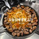 울산생뒷고기 | 울산 달동 고기집 오늘김해생뒷고기 구워주는 뒷고기집