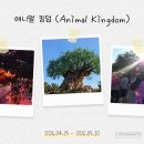 고릴라킹덤 | [미국동부] 디즈니애니멀킹덤(Animal Kingdom) 공략 오픈런 & 꿀팁 총정리