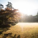 스튜디오블루닷