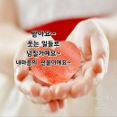 굿모닝 인사이미지글 이미지