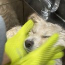 몽드드뚜뚜 이미지