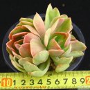 안동호민박 이미지