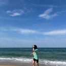 고씨네마켓