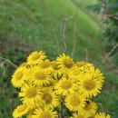 커피안녕 이미지