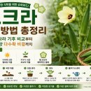 웰빙씨앗나라