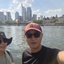 행정중앙1로 R | 유라시아 횡단 캠핑카 여행|🇩🇪독일 여행|뷔르츠부르크|프랑크푸르트[2026.07.01] D+438