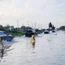 아암대로 이미지