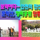 장미관문 이미지