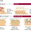 에스테틱연지산점