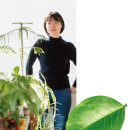 식물정 이미지