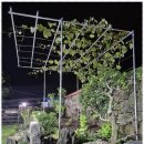 이음펜션 이미지