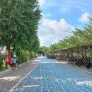 서울 금천구 안양천제방산책로(지하철 구일역-독산역 구간) 여행. 이미지