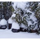 산이네 민박 이미지