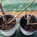 신암2농장 이미지