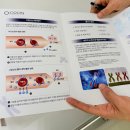 스타일카케어 서초 직영점 | 이너뷰티, 오투온 논현점 고압산소케어 체험기(안티에이징 접근)