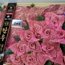 송정한우정육점 네이버블로그