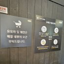 365플러스 용인포곡점 | [맛집] 쌀국수 포메인 베트남음식 포시즌가든 카니발광장 근처 필수코스 에버랜드 퍼레이드쇼 시작전후...