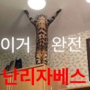 닐라닐라바닐라
