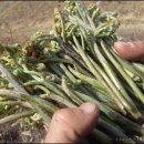 화창농원 이미지