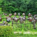 자연쌈밥 이미지