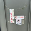 솔향기 | 인천 덕적도 맛집 소야도 솔향기 내돈내산 후기