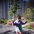 베말공원 이미지