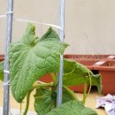 중리할머니경로당 이미지