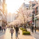 (주)부동산중개법인 오케이 | 잘나가는 중개사무소 법인 전환할 때, 내 '사업자대출'은 어떻게 될까?