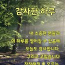 8월4일 수요일 아침뉴스 이미지