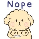 율무네애견 이미지