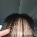 봉자아나고 | [일상] 부케순이 선짱의 일주일😏 (2023.06.19.~06.25.)