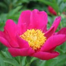 일기일회 이미지