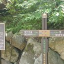 앵산꾀꼬리길 이미지