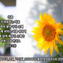 동부교회 앞 이미지