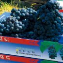 구성농업협동조합 이미지