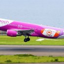 피치203-3 이미지