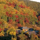 다솔사길 이미지