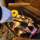 정글펜션 이미지