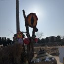 고양이 기숙사 | 인천 고양이카페 영흥도 고양이역 다녀온 후기