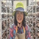 송화농장 이미지