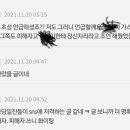 제트썬쌤 폭로에 대해 할 말 있습니다 이미지