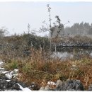 1073목장 이미지