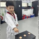 신세계태권도장 이미지