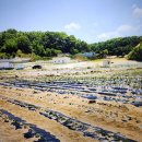 옥동근린공원 이미지