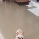 독탑라운지 이미지