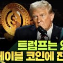 “간편하고 안전”? 스테이블 코인 홍보나선 언론...중학생 상식도 없다! 이미지